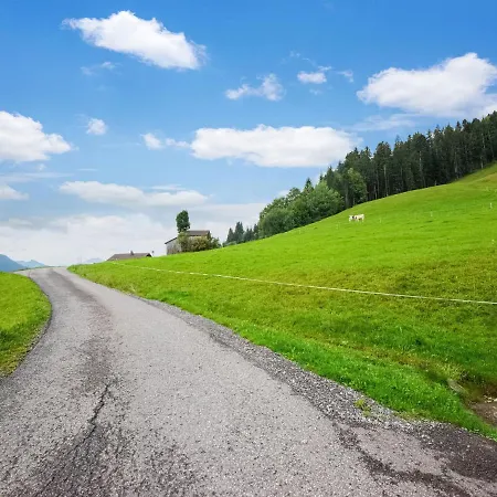 Vintage In Vorarlberg Near Area