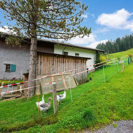 In Am Skilift Schwarzenberg im Bregenzerwald
